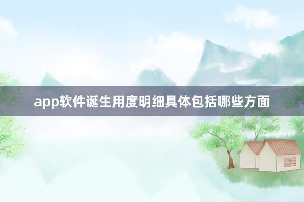 app软件诞生用度明细具体包括哪些方面