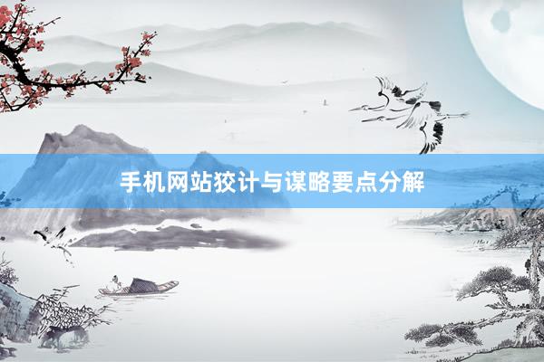 手机网站狡计与谋略要点分解