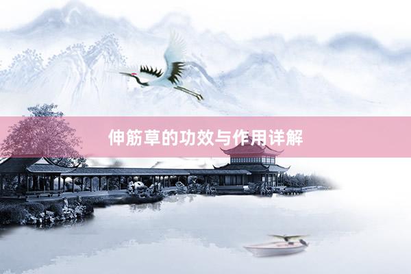 伸筋草的功效与作用详解