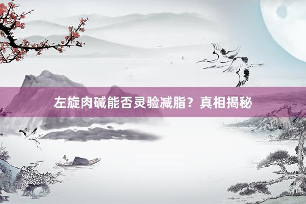 左旋肉碱能否灵验减脂？真相揭秘