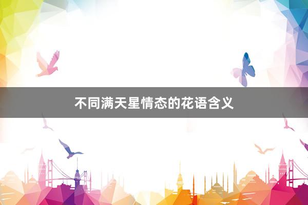 不同满天星情态的花语含义
